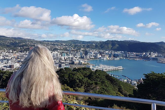 Full Day Guided Wellington Tour including Cable Car - Final Thoughts: Is This Wellington Tour Right for You?