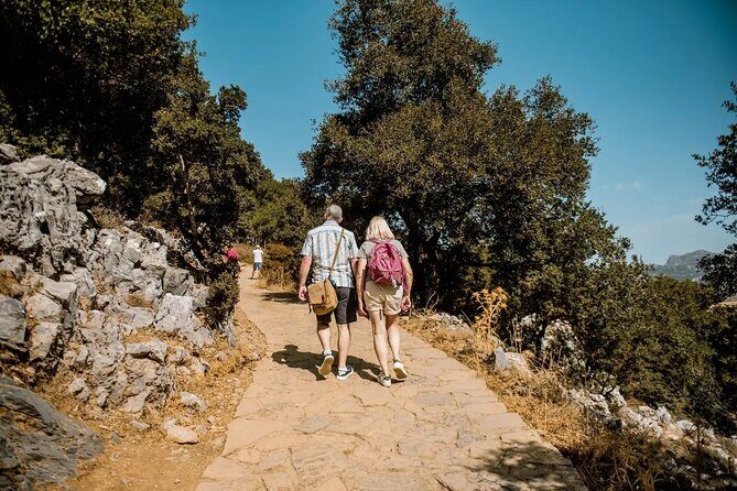 Full-Day/Half-Day Tour : Lasithi Plateau & Knossos Palace - Key Points