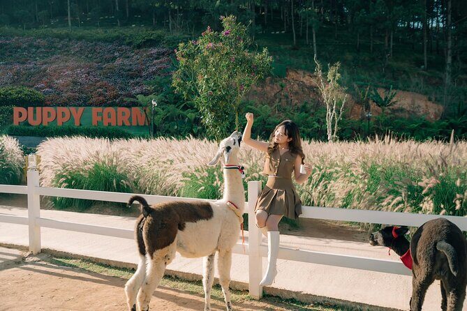 Full-Day Highlight of Da Lat The famous tourist attractions 2025 - Key Points