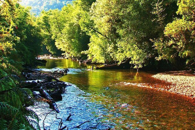 Full day HIKE Alerce Andino Parque Nacional. - A Deep Dive into the Alerce Andino National Park Hike