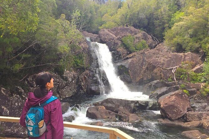 Full day HIKE Alerce Andino Parque Nacional. - Who Should Consider This Tour?