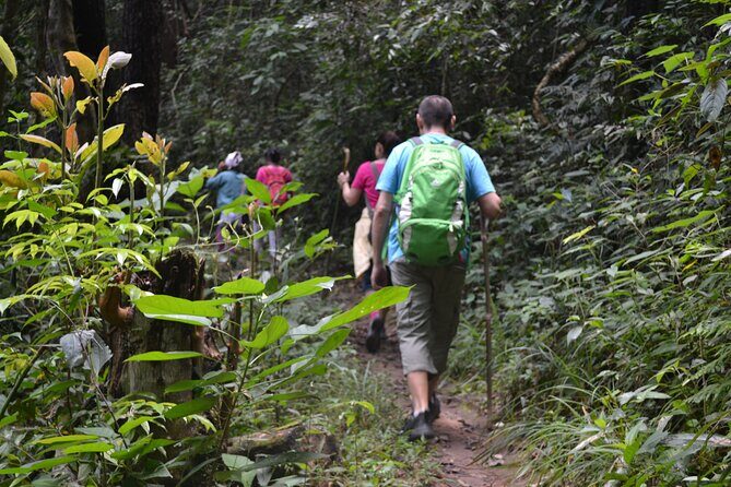 Full-Day Hike and Bike Tour from Chiang Mai - In-Depth Review of the Full-Day Hike and Bike Tour