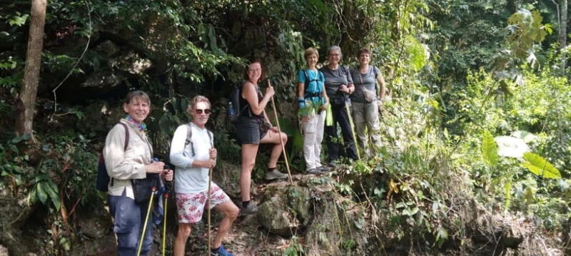 Full day hike - climbing in Jungle of Cat Ba National park - An Itinerary Packed with Nature and Action