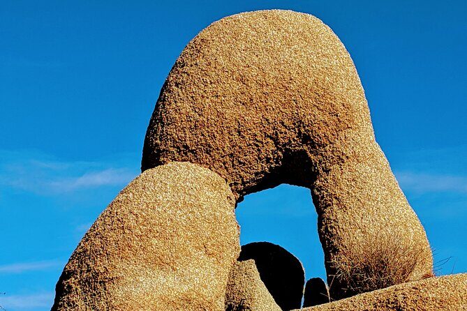 Full Day Hike in Joshua Tree National Park - Summary of the Experience