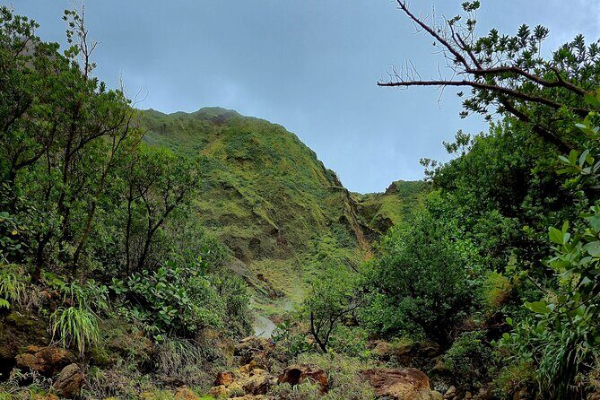 Full Day Hike Tour from Dominica - FAQ