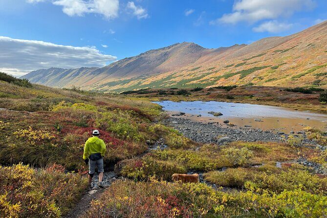 Full day Hiking Adventure - Discover the Wilderness: Full-Day Hiking Adventure in Anchorage