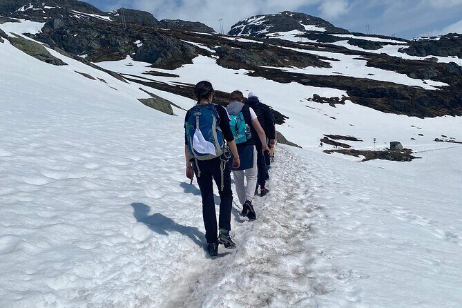 Full Day Hiking Adventure from Bergen to Trolltunga - What the Reviews Say
