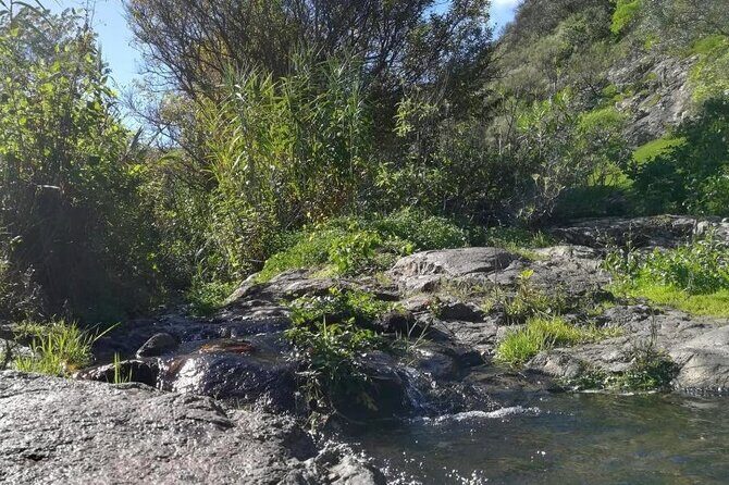 Full day Hiking and Waterfalls Experience - The Sum Up
