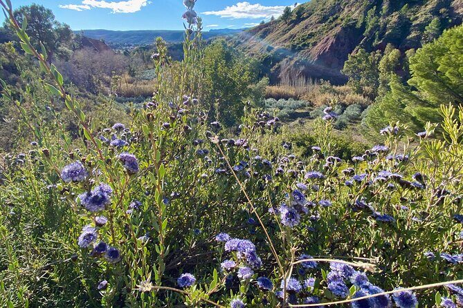 Full-day Hiking at Ruta the Aqua across Pena Cortada - FAQs