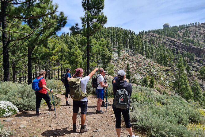 Full day Hiking Gran Canaria Peaks of Gran Canaria - Exploring the Peaks of Gran Canaria: A Full-Day Guided Hike