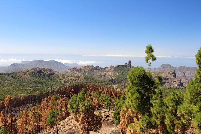 Full day Hiking Gran Canaria Peaks of Gran Canaria - Itinerary Breakdown: From Mountains to Local Cuisine