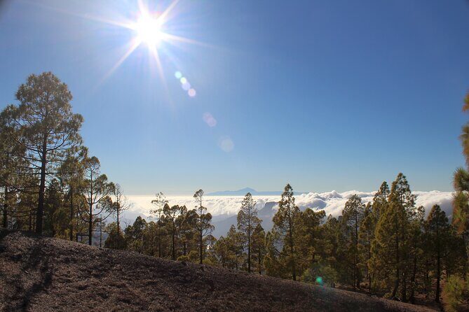Full day Hiking Gran Canaria Peaks of Gran Canaria - Who Should Consider This Experience?