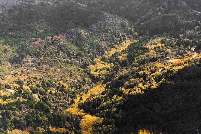 Full-Day Hiking Mount Taygetos Summit with Picnic - Authentic Experiences and Authentic Perspectives