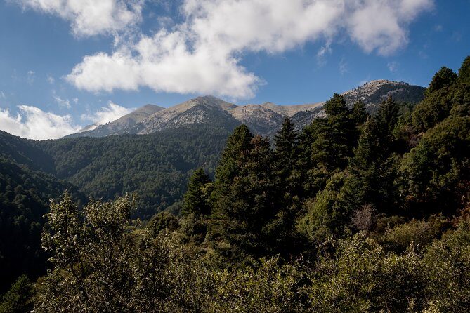 Full-Day Hiking Mount Taygetos Summit with Picnic - FAQ