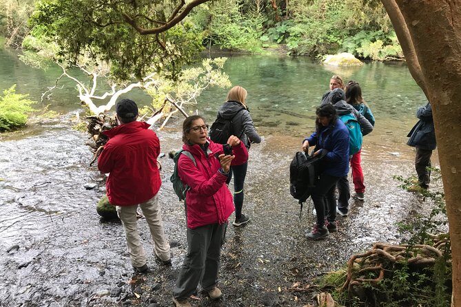 Full day Hiking Solitario trail, Osorno Petrohue Falls - Key Points
