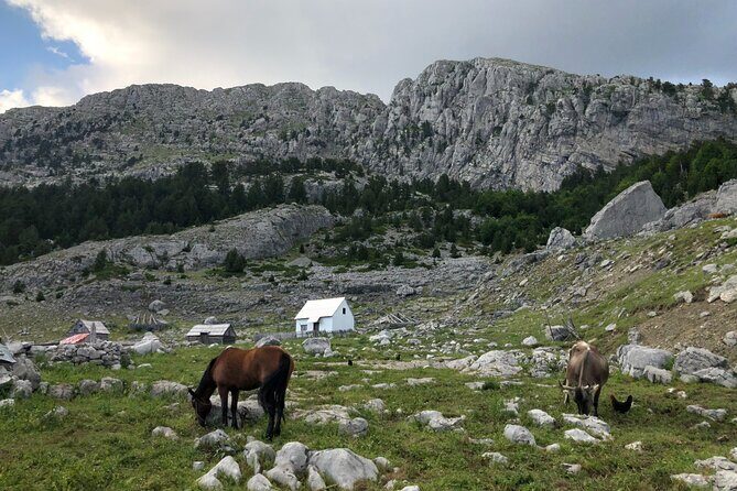 Full-Day Hiking Tour to Maganik Montenegro - The Sum Up
