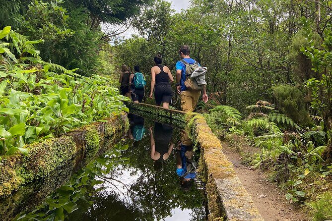 Full Day Hiking Trail in Lagoa do Fogo Sao Miguel - The Sum Up: Who Will Love This Experience?