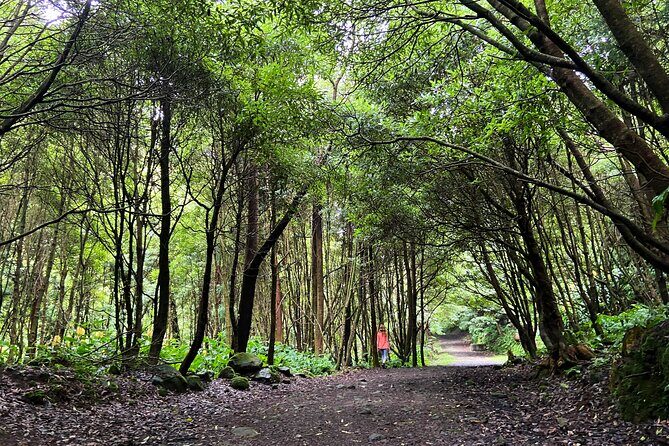 Full Day Hiking Trail Janela do Inferno + Caldeira Velha - Key Points