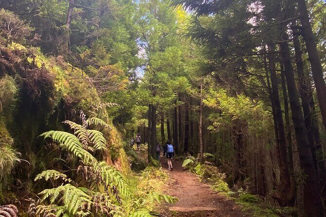 Full Day Hiking Trail Sete Cidades and Ferraria - A Deep Dive Into the Full Day Hiking Experience