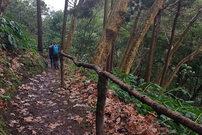 Full Day Hiking Trail Waterfalls- in Lomba de São Pedro - Azores - An Inviting Day in São Miguel: Waterfalls, Trails, and Tea