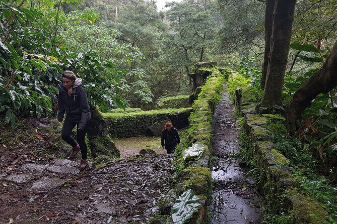 Full Day Hiking Trail Waterfalls- in Lomba de São Pedro - Azores - Key Points