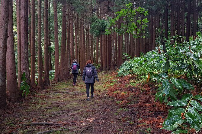 Full Day Hiking Trail Waterfalls- in Lomba de São Pedro - Azores - Final Thoughts: Why Choose This Tour?