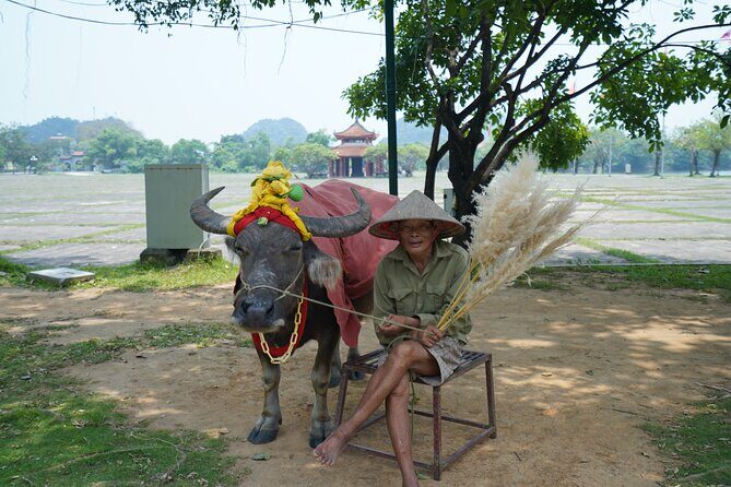 Full Day Hoa Lu/Tam Coc/ Mua Cave Tour by Limousine Bus - Key Points
