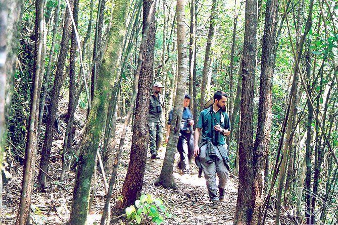 Full day: Hoi An - Bach Ma National Park - A Final Word on Value