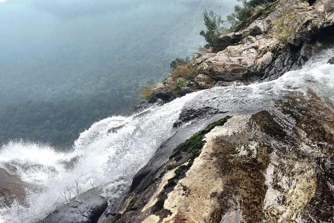 Full day: Hoi An - Bach Ma National Park - Frequently Asked Questions