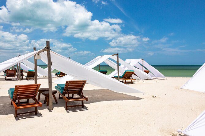 Full-Day Holbox Island Boat and Buggy Tour with Lunch - The Experience: What Travelers Say
