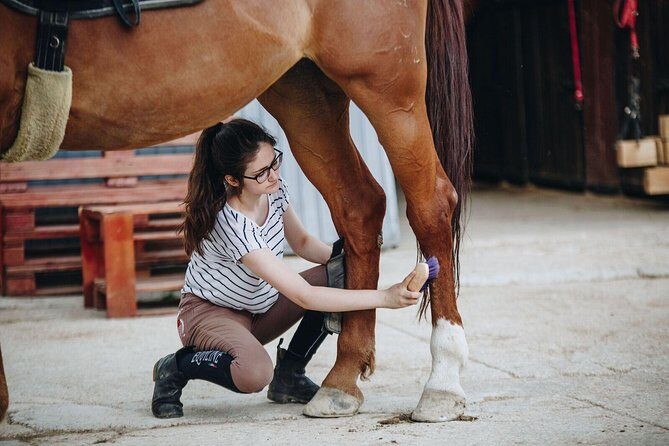 Full day Horse riding & Quad biking - The Sum Up: Who Will Enjoy This Experience?