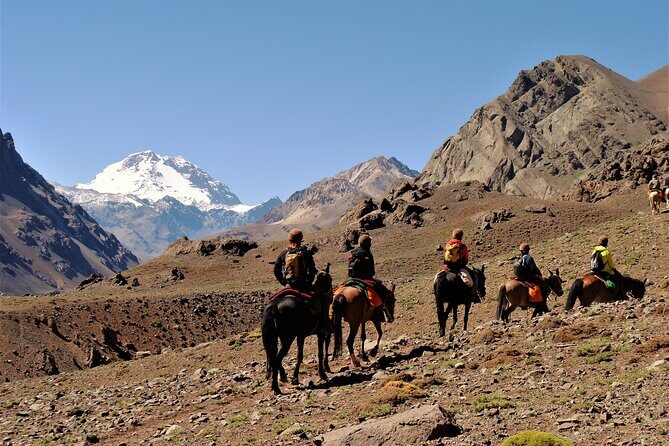 Full day Horseback Riding in the Andes and BBQ - Discover the Magic of Mendoza’s Andes on Horseback with a Mouthwatering Asado