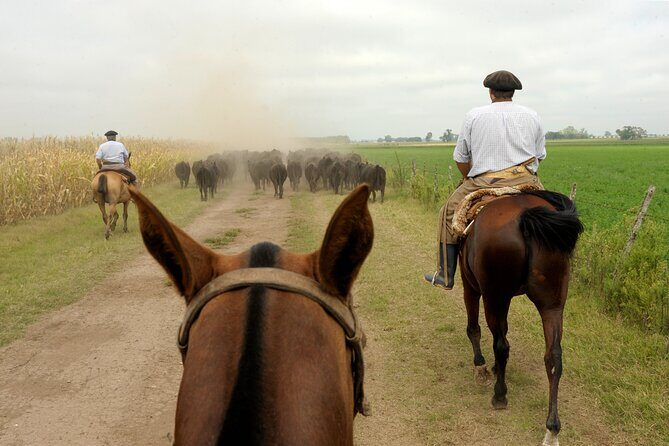 Full-Day Horseback Riding with Gauchos from Buenos Aires - Key Points