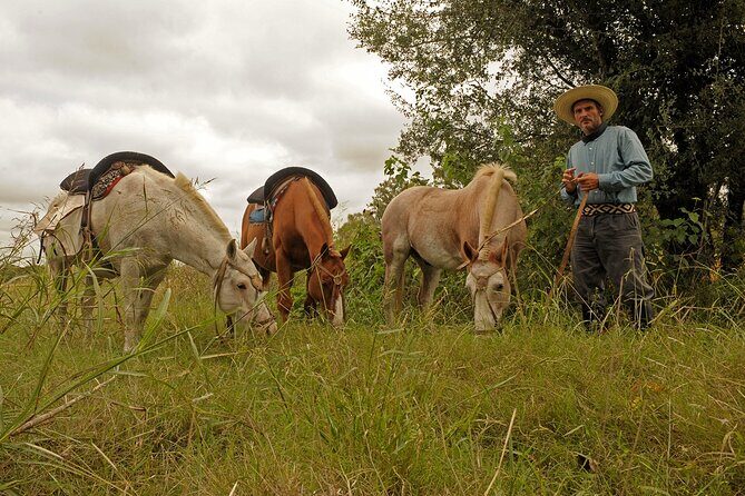 Full-Day Horseback Riding with Gauchos from Buenos Aires - Who Should Consider This Tour?