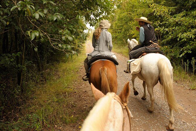 Full-Day Horseback Riding with Gauchos from Buenos Aires - FAQ