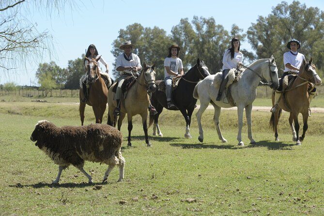 Full-Day Horseback Riding with Gauchos from Buenos Aires - Final Thoughts