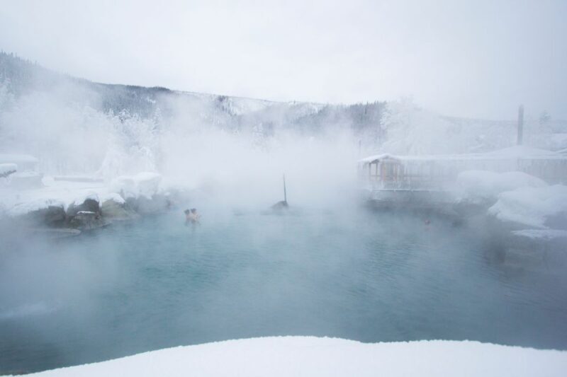 Full Day Ice Museum and Chena Hot Springs Tour - A Deep Dive into the Alaska Ice and Hot Springs Experience