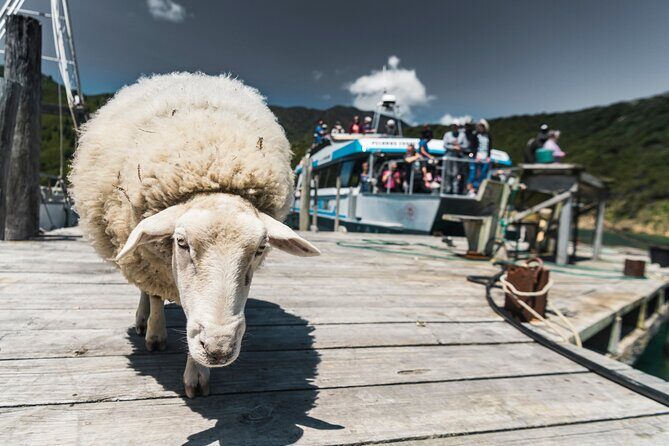 Full Day Iconic Mail Boat Cruise - FAQ