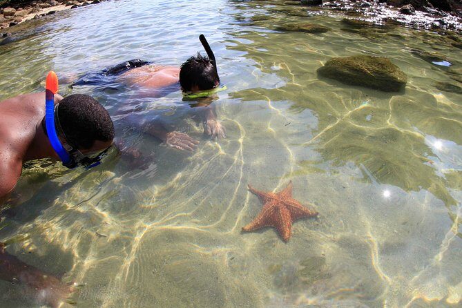 Full-Day Ilha Grande Northern Coast Speedboat Tour - Full-Day Ilha Grande Northern Coast Speedboat Tour