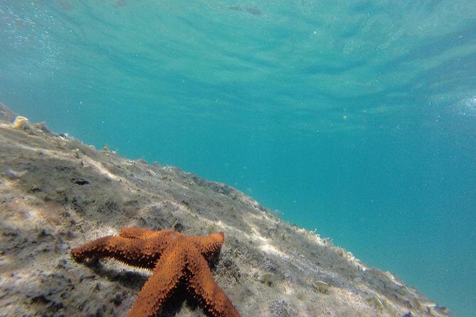 Full-Day Ilha Grande Northern Coast Speedboat Tour - Final Thoughts