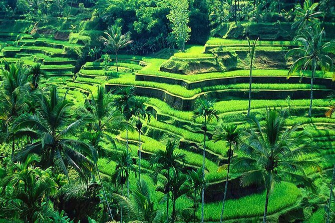 Full-Day in Bali: Amazing Ubud Tour - Frequently Asked Questions