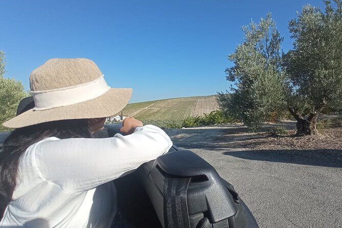 Full day in Cordoba between Vineyards and Olive Trees with a Convertible Car - Practical Details and Value