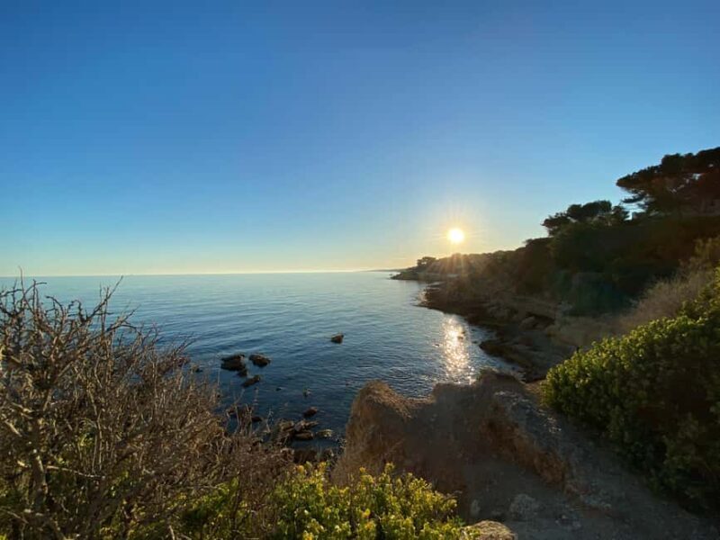 Full Day in Côte Bleue: Scenic Nature Walk and Boat Tour - The Nature Walk: Fossils, Flora, and Coastal Scenery
