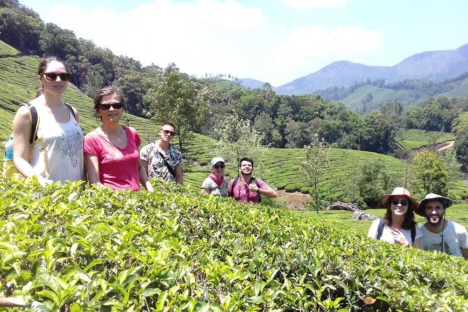 Full day in hiking in Munnar (By Munnar Info) - A Detailed Look at the Munnar Hiking Tour