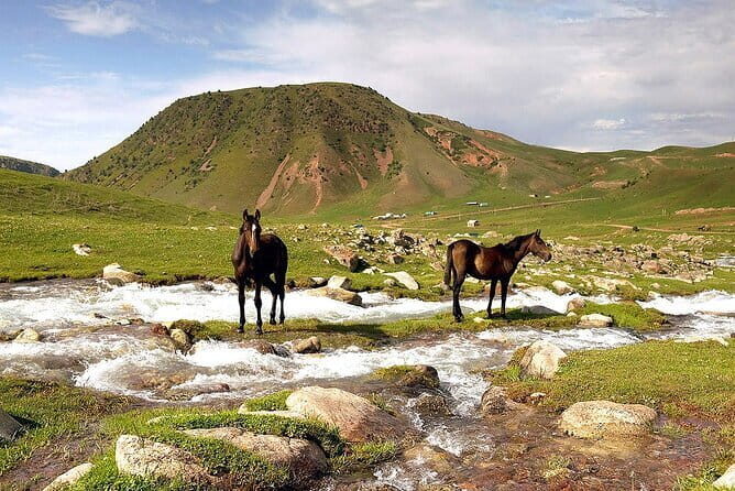 Full Day in Nature at Chunkurchak and Ala Archa National Park - Who Should Consider This Tour?