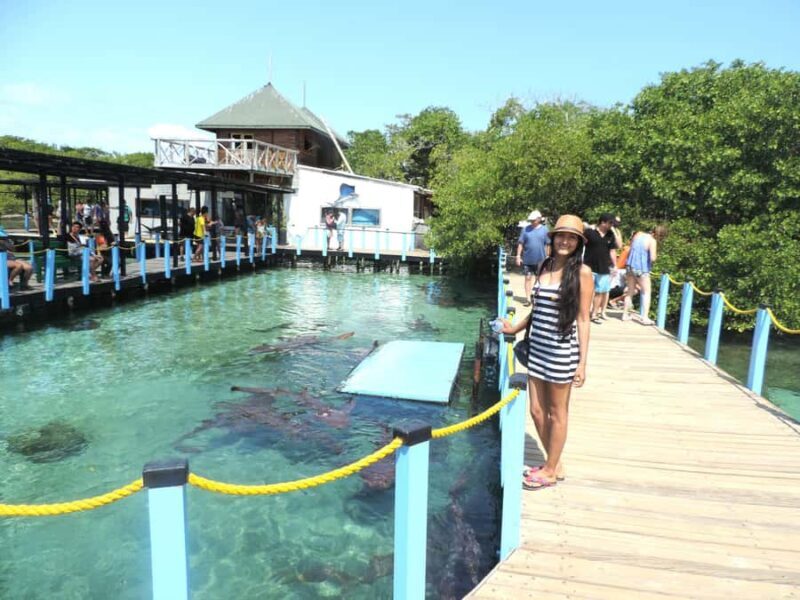 Full day in the Rosario Islands with lunch Cartagena - An In-Depth Look at the Rosario Islands Tour