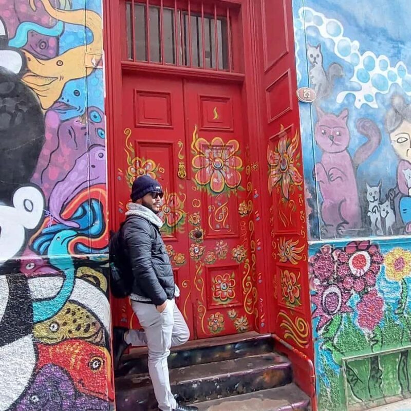 Full Day in Viña del Mar and Valparaiso from Santiago - Discover the Best of Chile’s Coastal Gems: Viña del Mar and Valparaíso