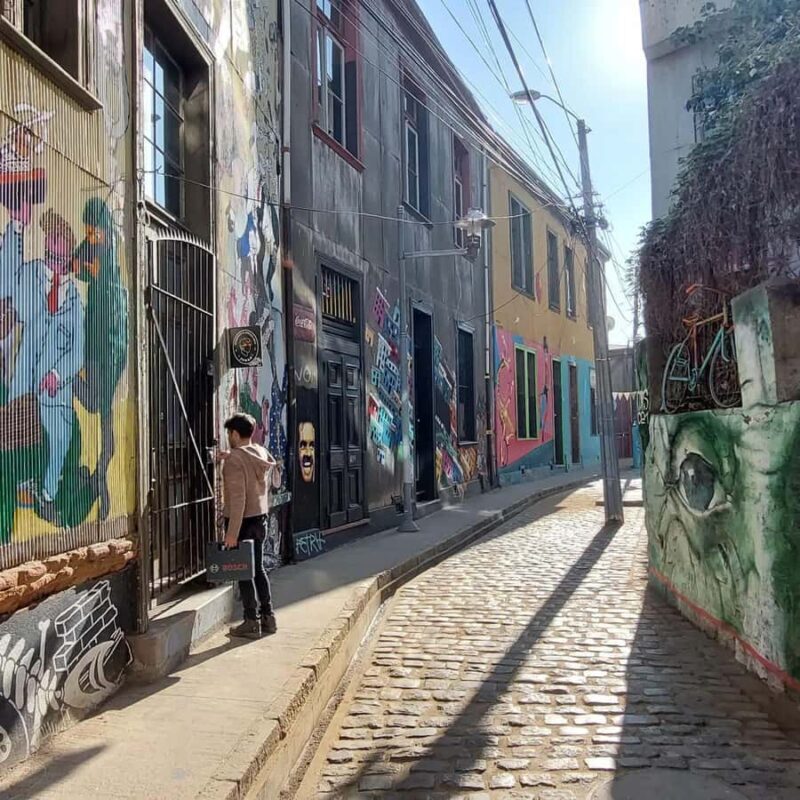 Full Day in Viña del Mar and Valparaiso from Santiago - Key Points