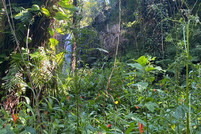 Full Day Island of Maui Private Tour - Exploring the Full Day Private Maui Tour: A Deep Dive