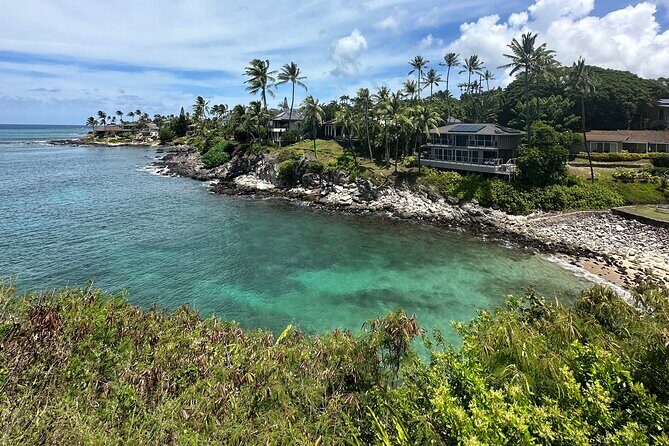 Full Day Island of Maui Private Tour - What Travelers Are Saying